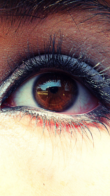 The eye