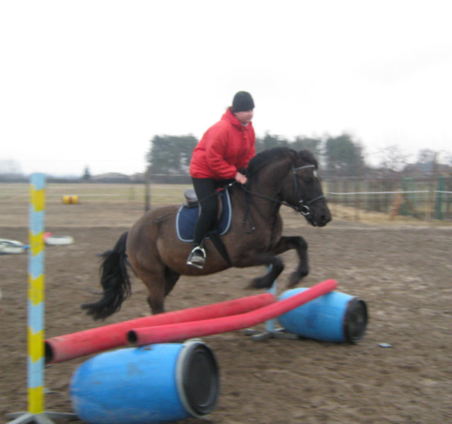 Wesoek