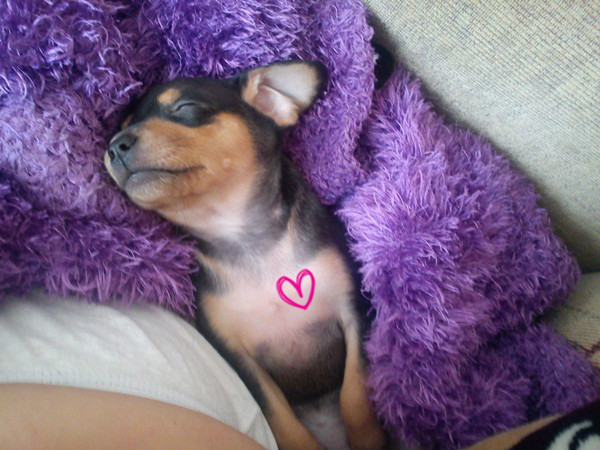 ZuZ < 3 