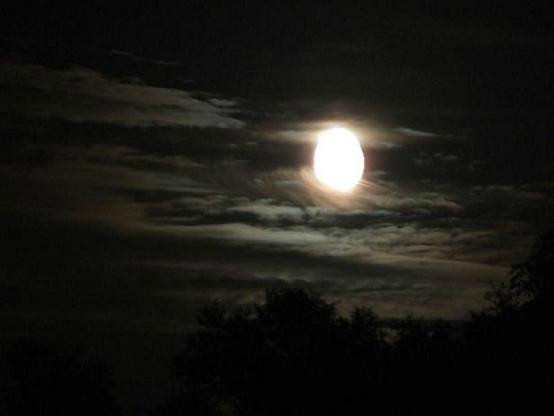 Moon - 1 ROZDZIA ! -.^