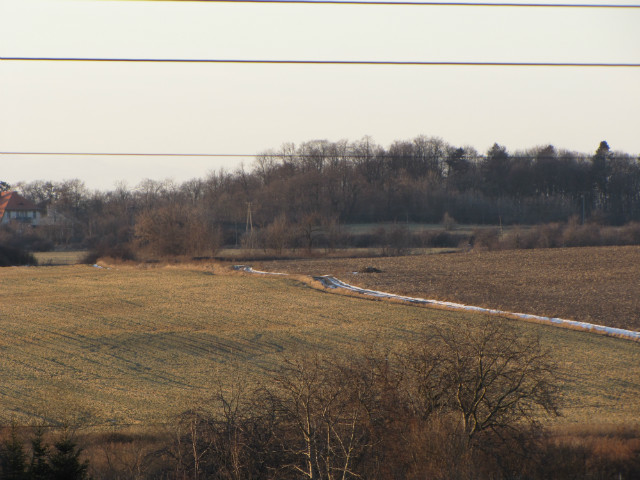 Resztki niegu.