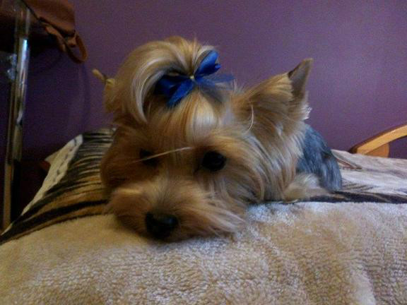 Kessie ;)