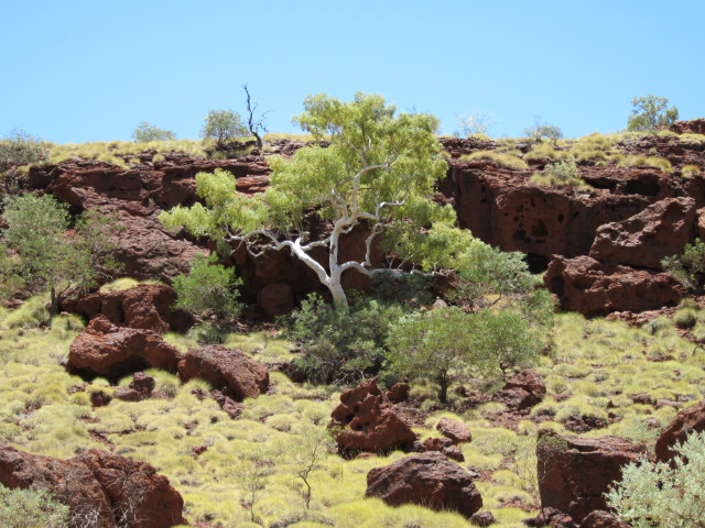 Australian Outback