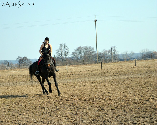 Amorka :*