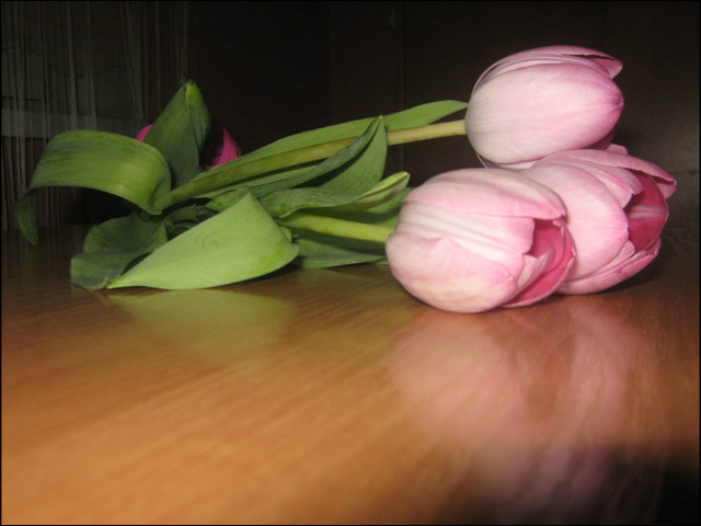 20.03.2012