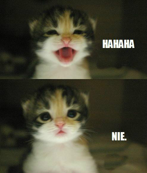 HAHAHA NIE.