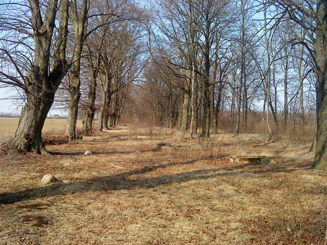 Stary niemiecki cmentarz