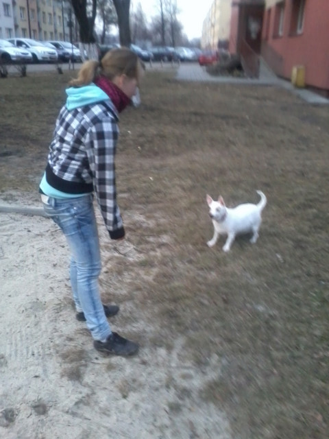 Z Oli psem . ; P