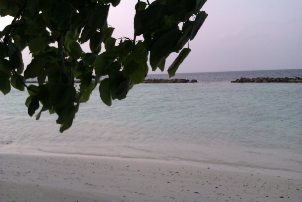sialaallala