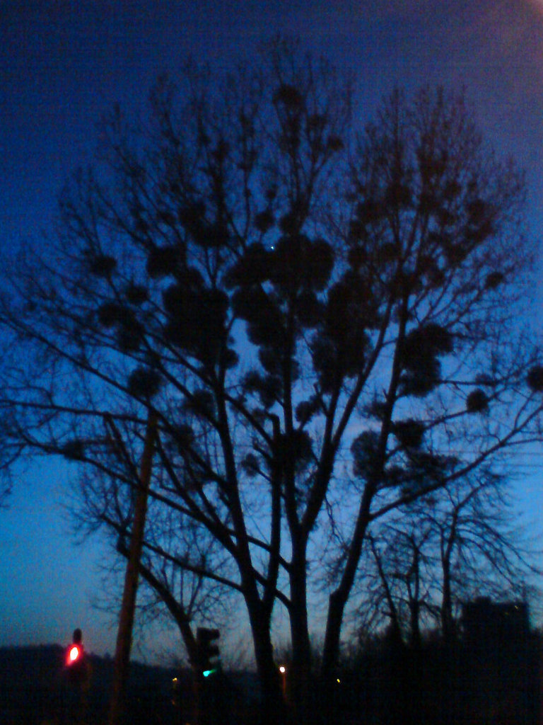 Evening...