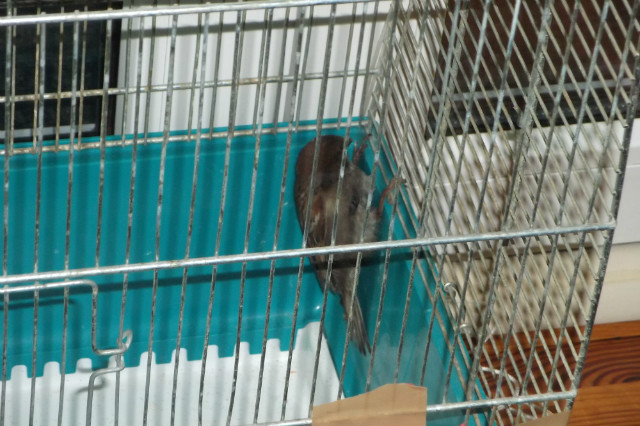 Ratunkowe . :) 