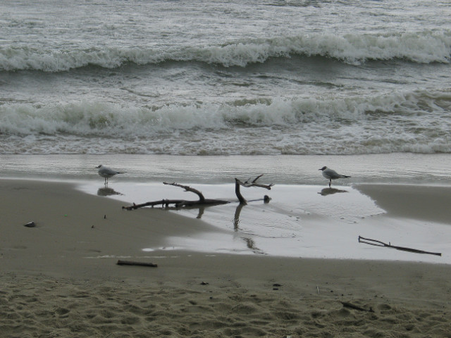 Un mar de lgrimas.