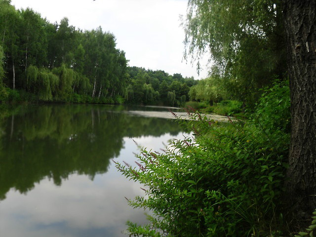 11.