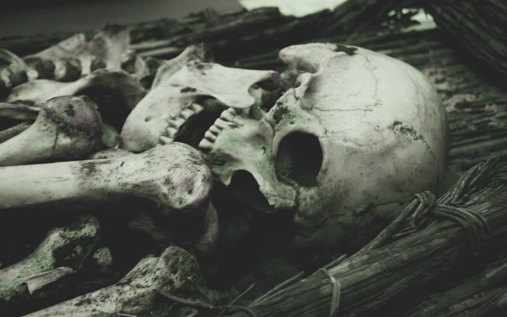 Our ancestors.