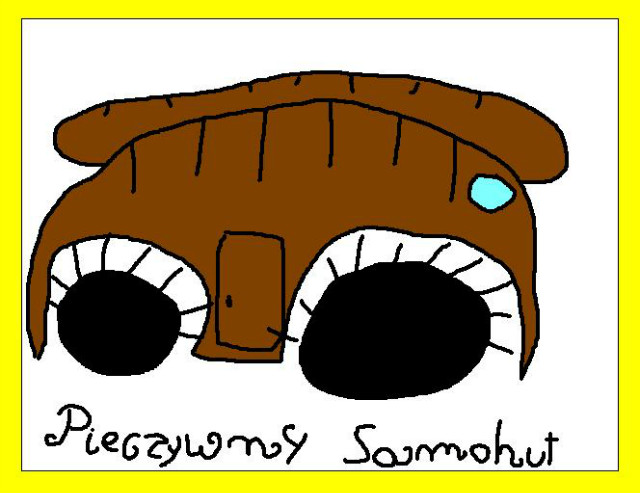 PIECZYWNY SAMOHUT