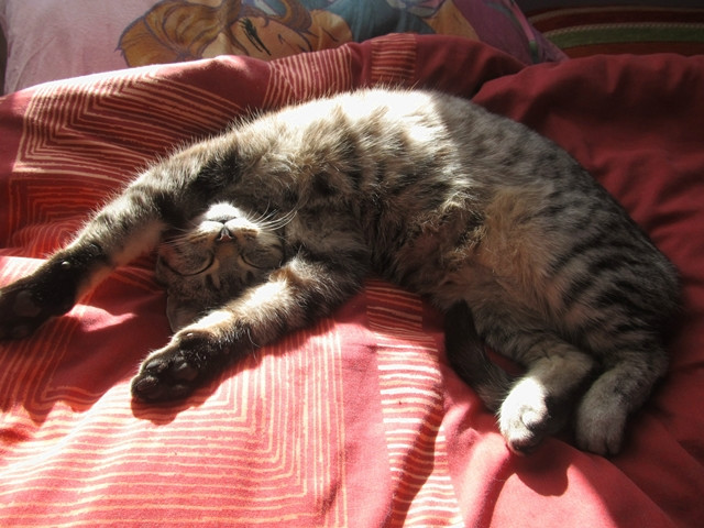 jadzia ^^