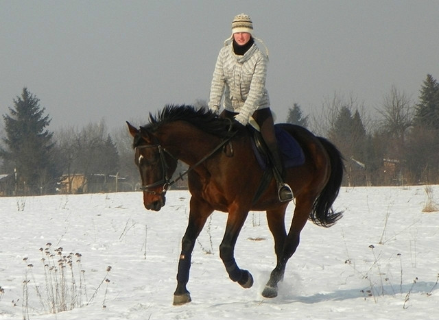 Laura i Dywizja :)