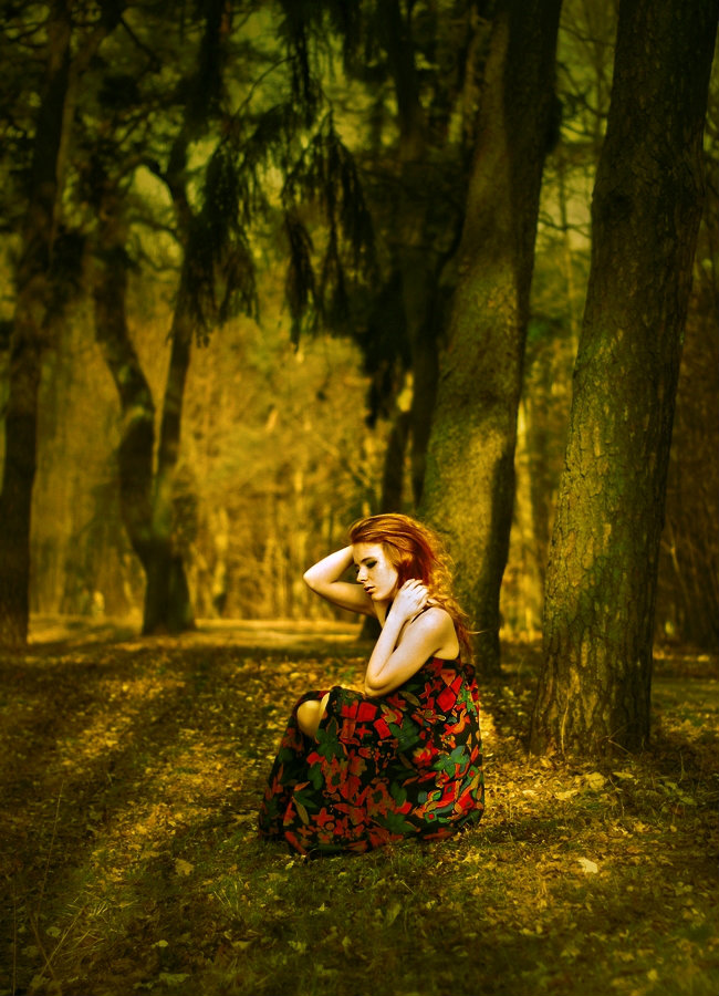 forest fairy