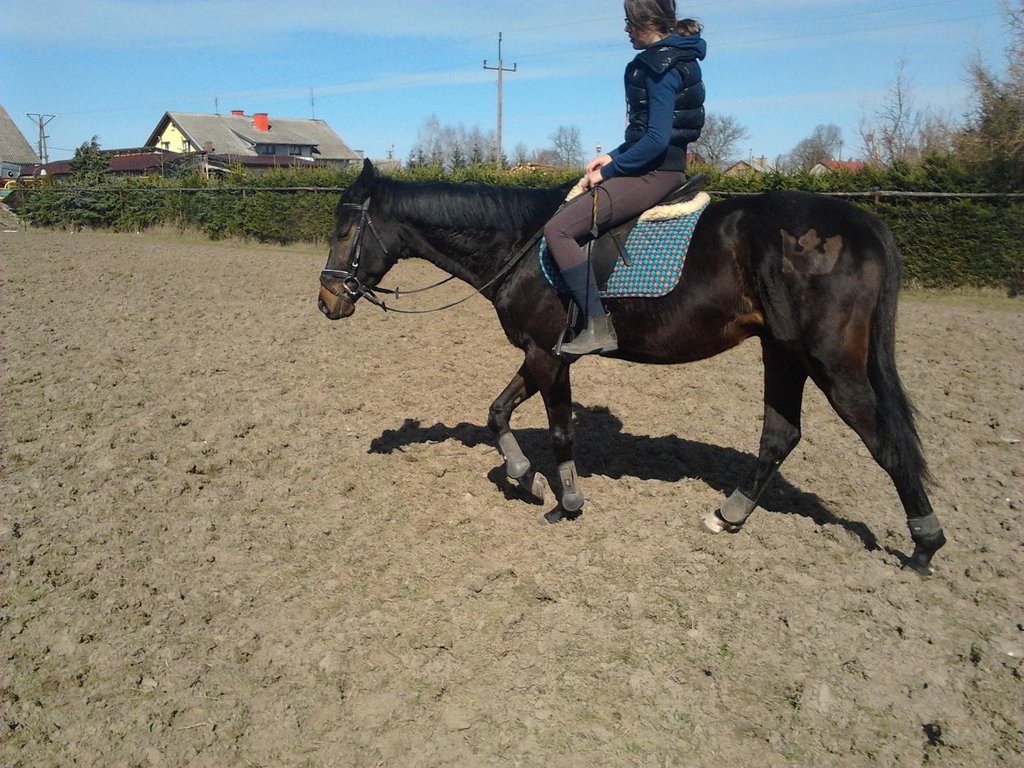Niebo.;D.