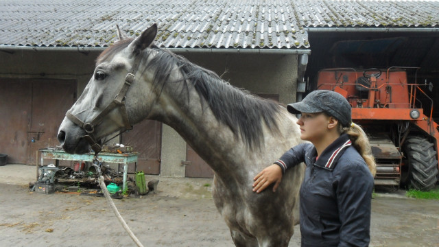 Liptek