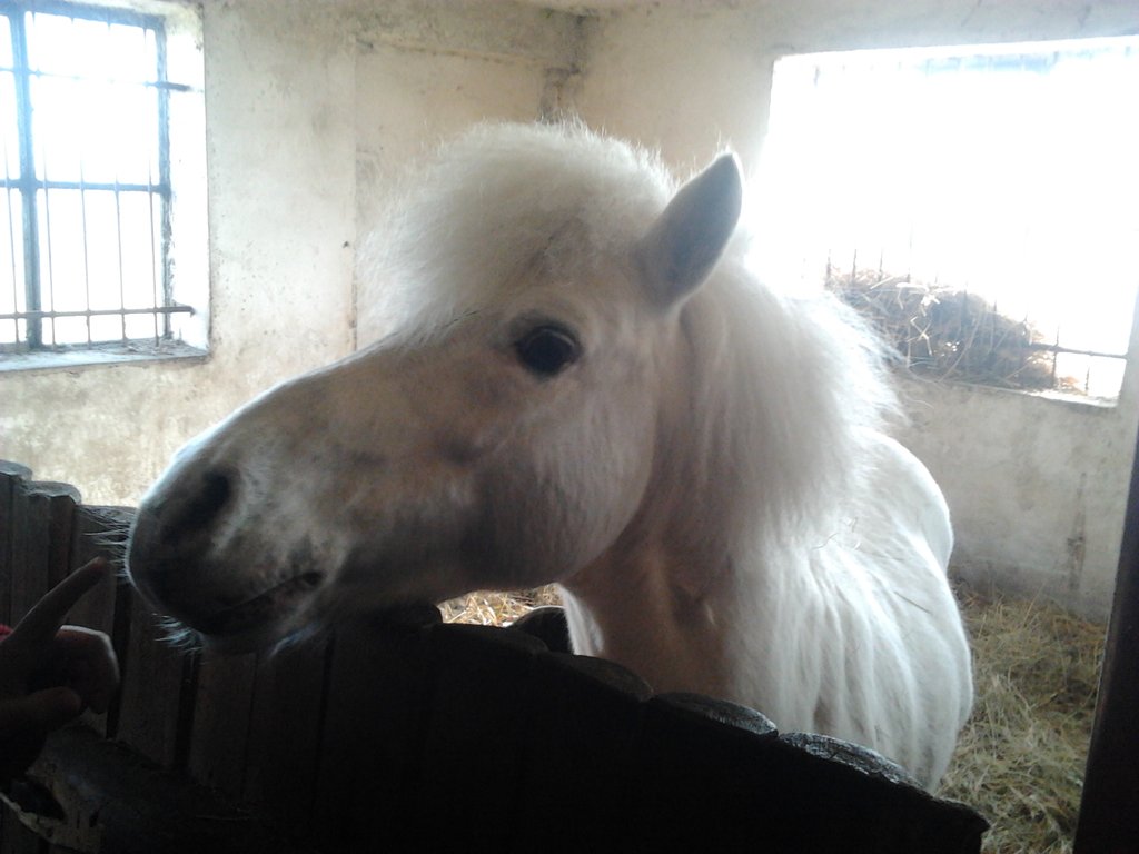 Maxio.!;D
