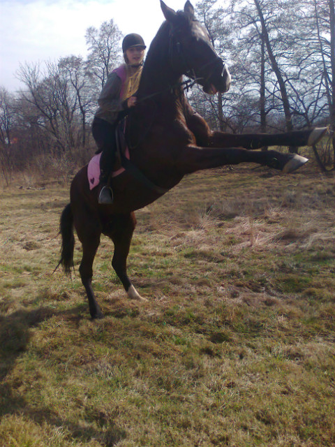 CKH, may terenik