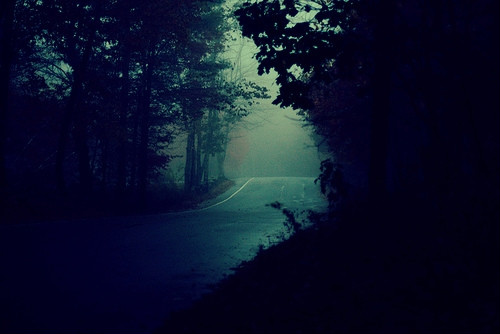 Dark Paradise.
