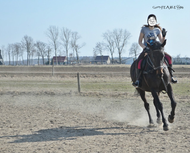 galop < 3.