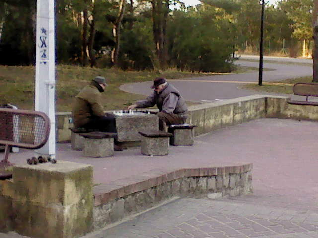 szachy