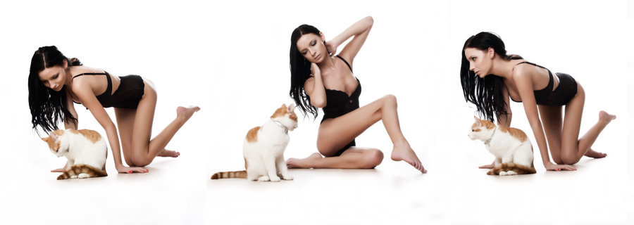 jolleh vs cat