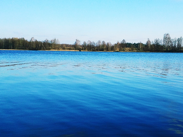 spring is comin'