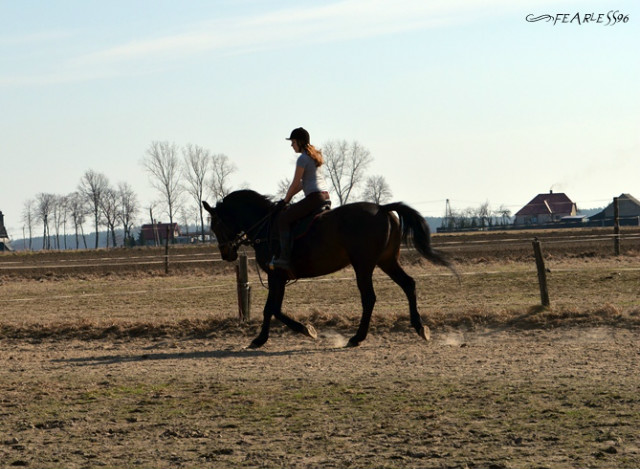 lecim .