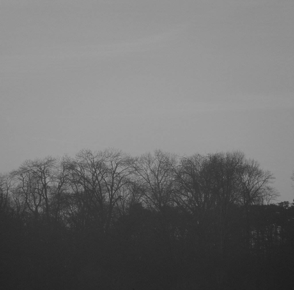 With Hearts Toward None IV.