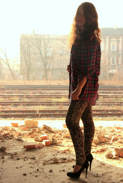 twenty three
