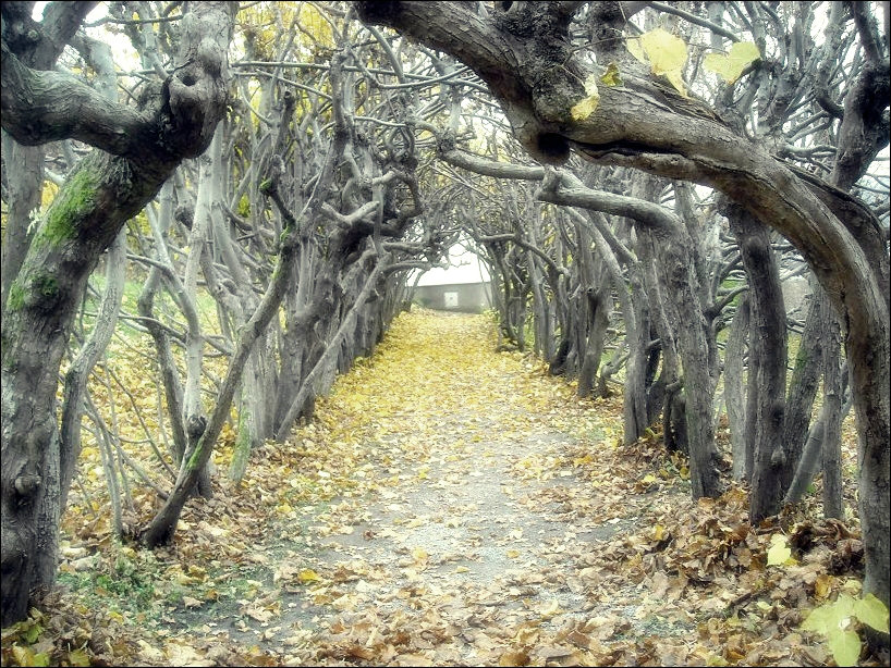 3. Agaty .; )