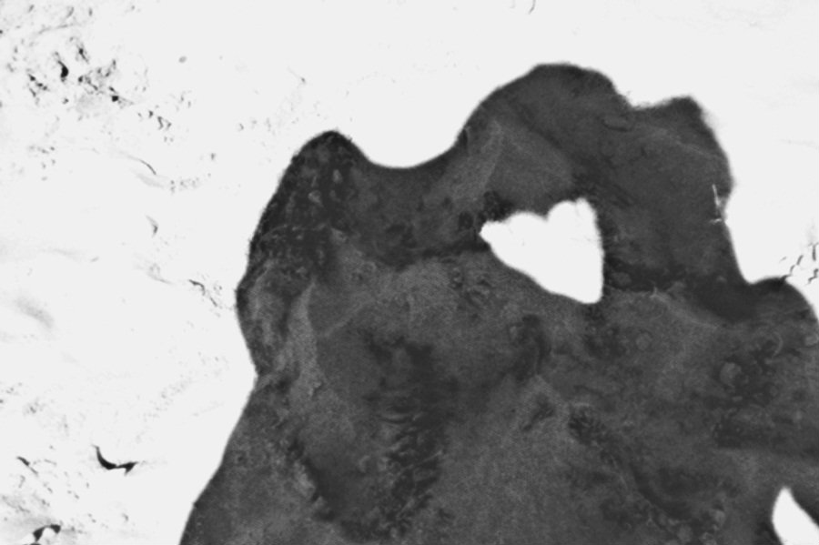 ( 01 )