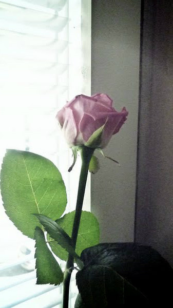 love .