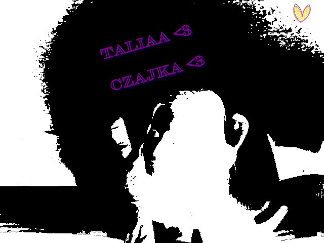 Czajka 