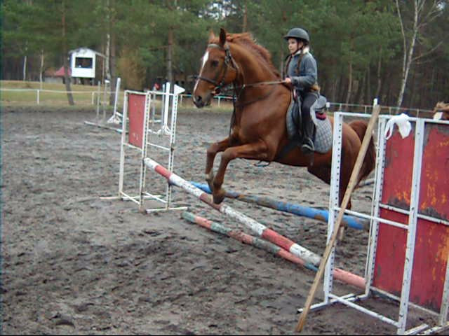 maxio....