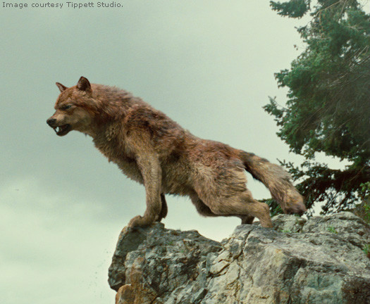 WOLF!