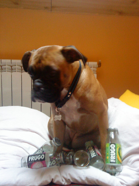 Mj piesek i Frugo ^^