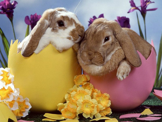 Happy Easter! 