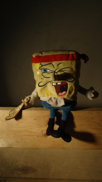 sponge