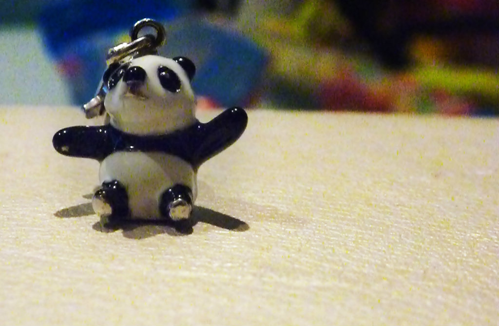 Pandzia :3 .