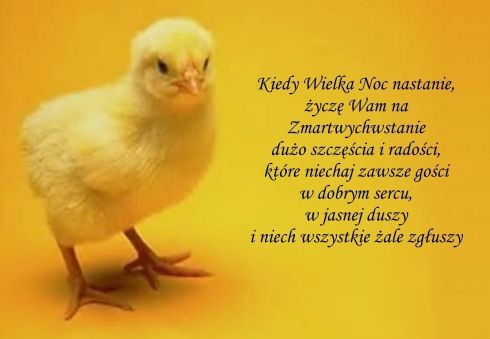WIELKANOC  :)