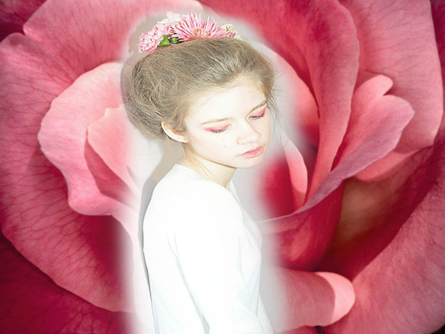Spring Flower