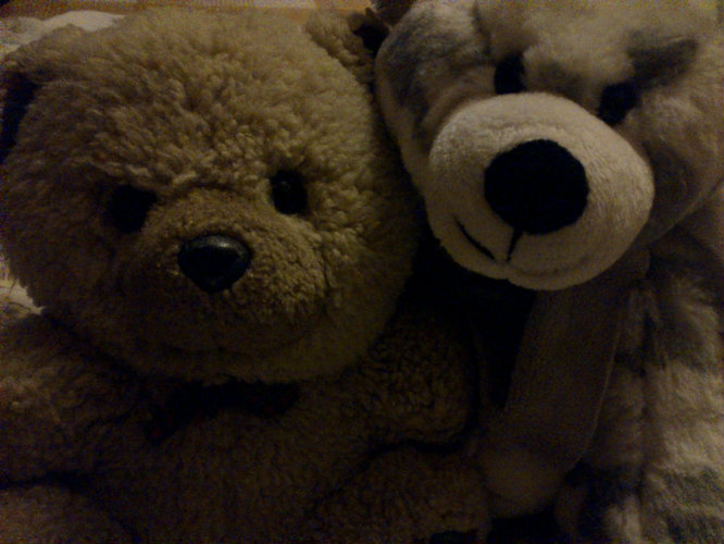 Tadeusz & Janusz