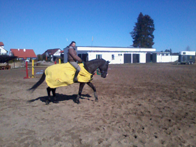 Nowy konik do jazdy ...