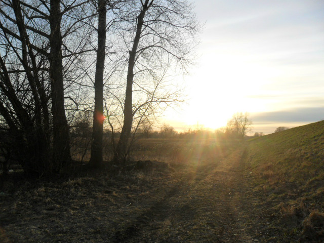 Ostatnie spotkanie. 