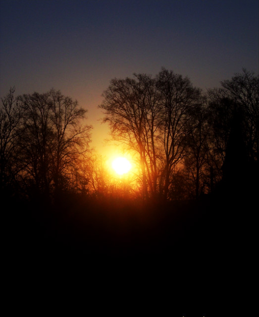 afternoon : >